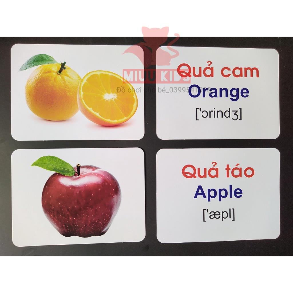 Bộ thẻ học thông minh chủ đề Bộ Chữ Cái Và Số flashcard glenn doman