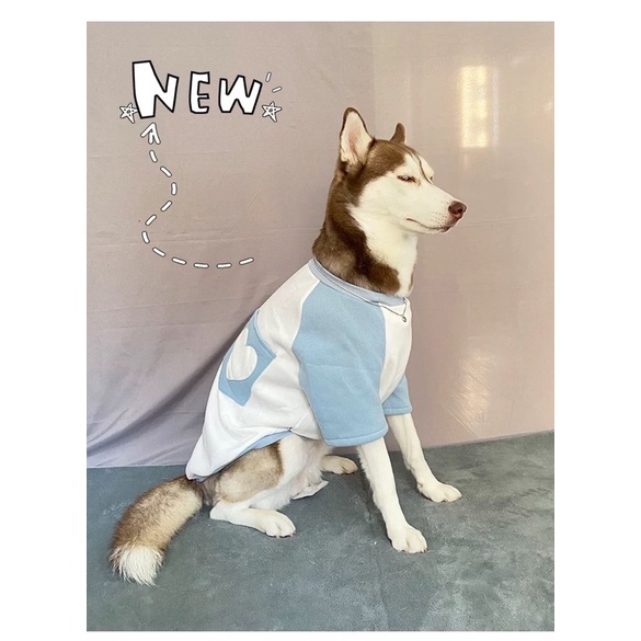 ÁO BIG SIZE CHO CHÓ LỚN MẪU TÚI TRÁI TIM ♥️