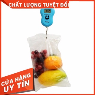 [XẢ KHO+FREE SHIP] CÂN ĐIỆN TỬ CẦM TAY MAX 40KG