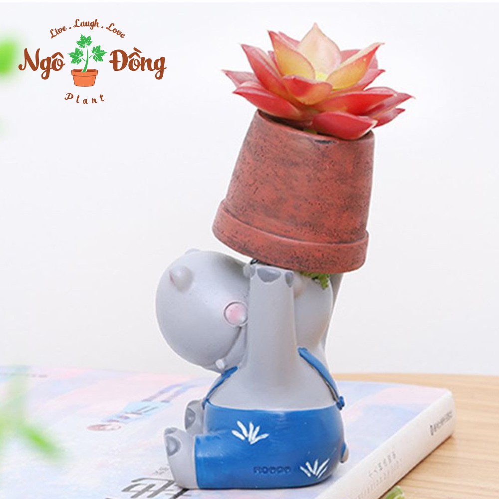 Chậu Mô Hình Thú Hà Mã Trồng Sen Đá Xương Rồng Cây Cảnh Hoa Mini Để Bàn Làm Việc Trang Trí Văn Phòng