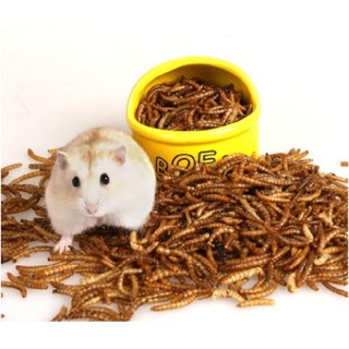 Thức Ăn Hamster - Sâu Khô