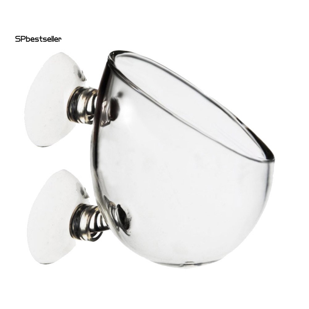 Chậu cây thủy tinh cho hồ cá kiểng