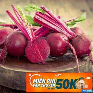 2g Hạt giống Củ Dền Đỏ (tặng gói kích nẩy mầm và hướng dẫn) LuckyseadTG