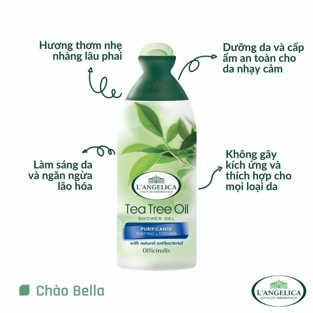 Sữa Tắm Thảo Dược Cao Cấp Ý L'angelica (Dầu Argan &amp; Cây Trà) | Trắng Da, Dưỡng Ẩm, Ngăn Ngừa Lão Hóa Và Thơm Lâu (250ml)