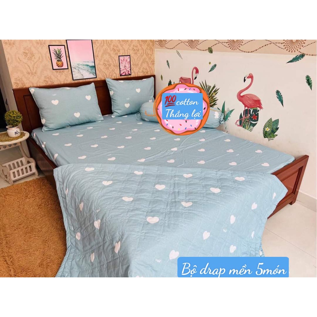 Bộ Drap Cotton Thắng Lợi Kèm Mền Chần Gòn { CHUẨN LOGO} chat để chọn màu nha các bạn | BigBuy360 - bigbuy360.vn