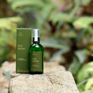 Lotion bưởi vijully