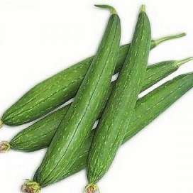Mướp hương lai nhiều quả giống F1