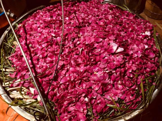 Gội đầu Karose shine | BigBuy360 - bigbuy360.vn