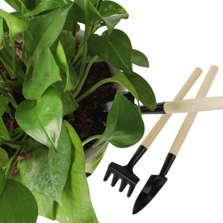 Xẻng Nhỏ Làm Vườn Tiện Dụng