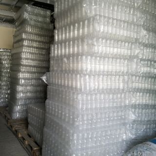 50 chai vuông nắp đen 300ml