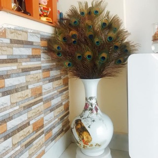 Combo 200 lông công phong thuỷ 80cm