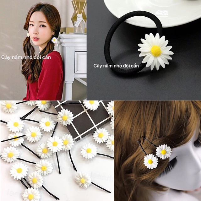 (rẻ vô địch)combo 10c cúc hoạ mi:cặp,buộc