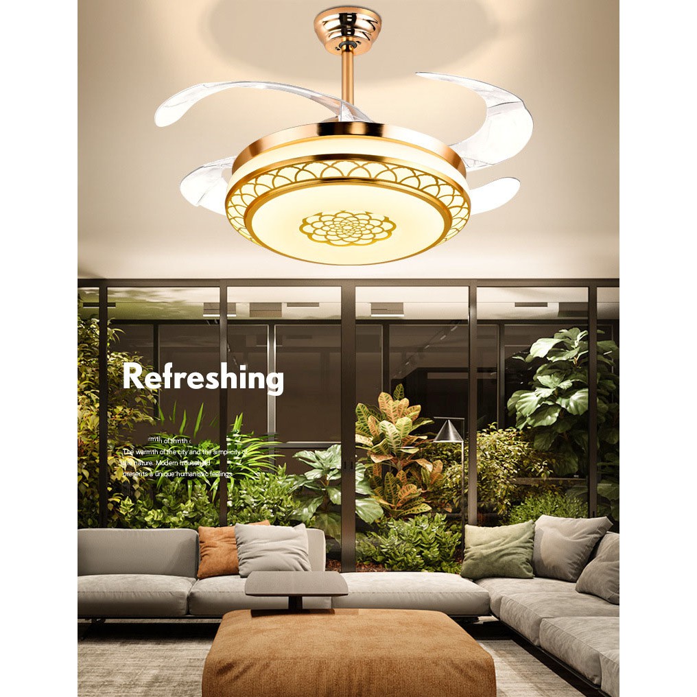 Đèn quạt trần cánh cụp xòe, Quạt trần Đèn phòng Khách, Phòng ngủ, Nhà Bếp SLY6160