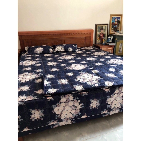 Bộ ga gối cotton lụa hàn quốc Alnena Ngọc Nữ