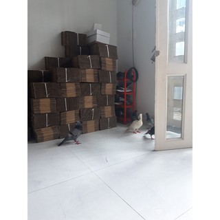 60 hộp carton 20x10x10 cm