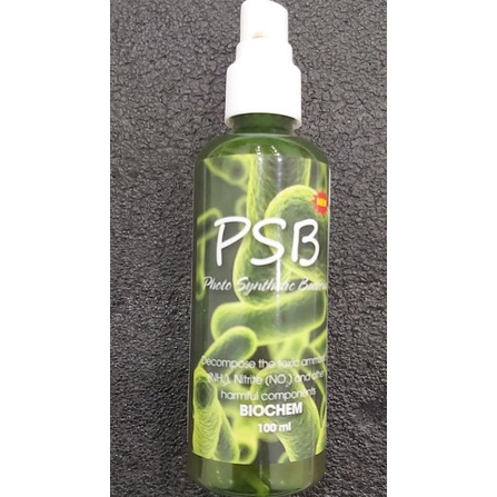 Vi sinh PSB xanh