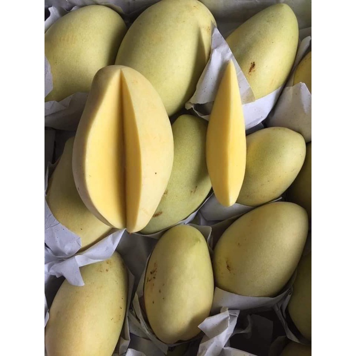 Xoài keo vàng sạch chuẩn ngon, trợ giá mùa dịch - HNH Food Farm