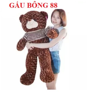 Gấu bông teddy cao 1m2 - hàng vnxk cao cấp