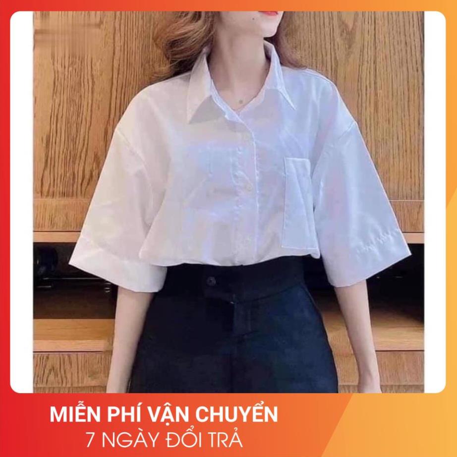 Áo Sơ Mi Trắng Tay Lỡ Hs 24AP Nữ [FREESHIP] 🌸 Thun kiểu form rộng học sinh, vintage cá tính rẻ đẹp Ulzzang 🌸 | BigBuy360 - bigbuy360.vn