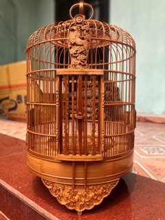 Lồng mi đục bát mã