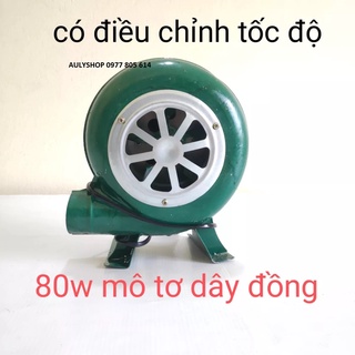 Quạt bếp hỏa tốc 40w 60w 80w 20w 150w, quạt thổi bếp lò, quạt hỏa tốc, quạt bếp nướng