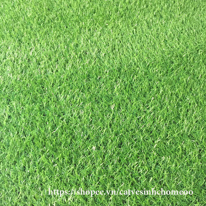 [ Kích thước 2m x 0.5m ] Thảm cỏ nhân tạo - tấm cỏ nhựa trải sàn - cỏ giả cao 2cm
