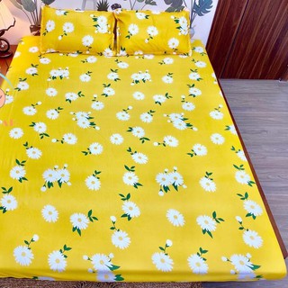 Xả lỗ 10 ngày ga trải giường 1m2 poly-Mã GPL020