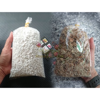 Combo Dớn + Đá perlite trồng cây bắt mồi, cây bẫy kẹp