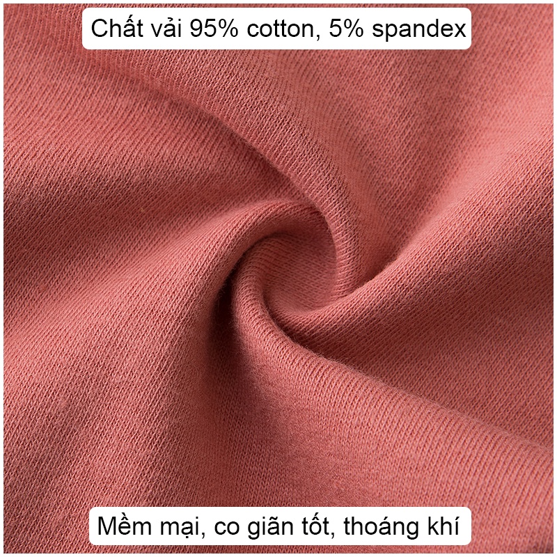 Quần Lót Nữ Cotton Dễ Thương Cute Kháng Khuẩn HAVENA QC07