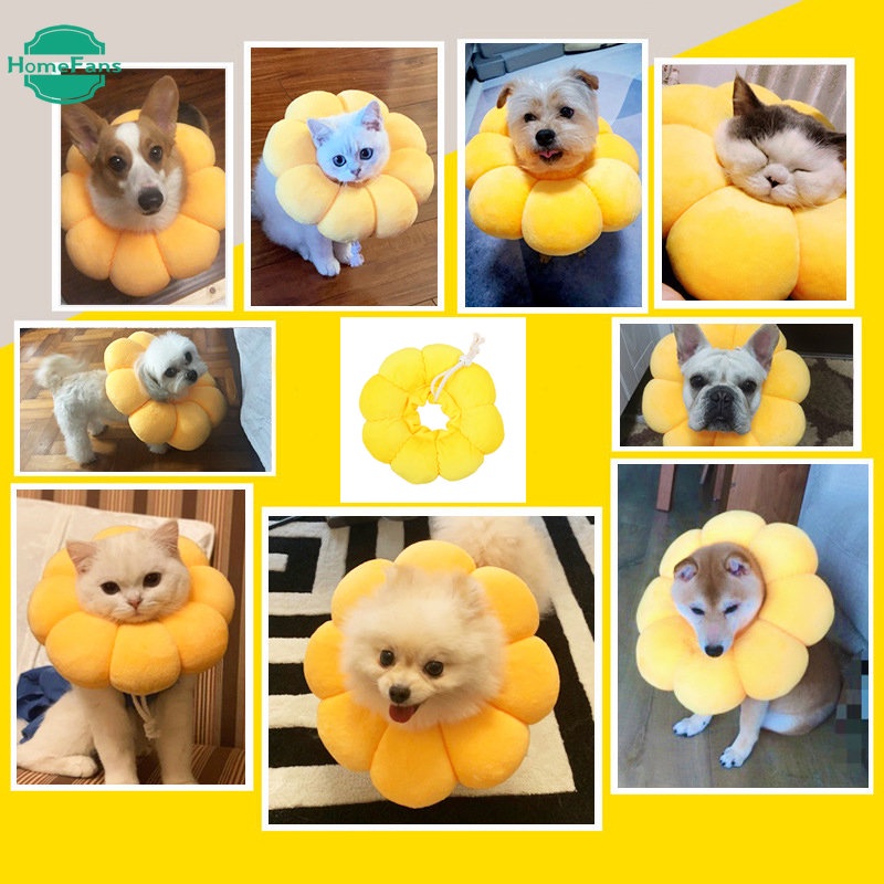 [HF] Vòng Đeo Cổ Elizabeth Bằng Cotton Mềm Mại Chống Liếm Cho Thú Cưng Chó Mèo