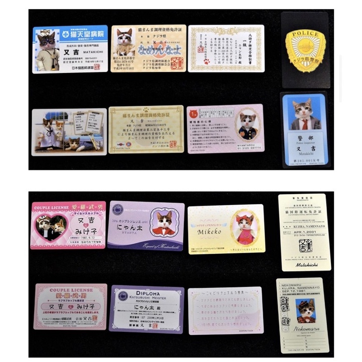 COD - CÓ SẴN PACK ẢNH SƯU TẦM MÈO RANDOM SIÊU CẤP ĐÁNG YÊU