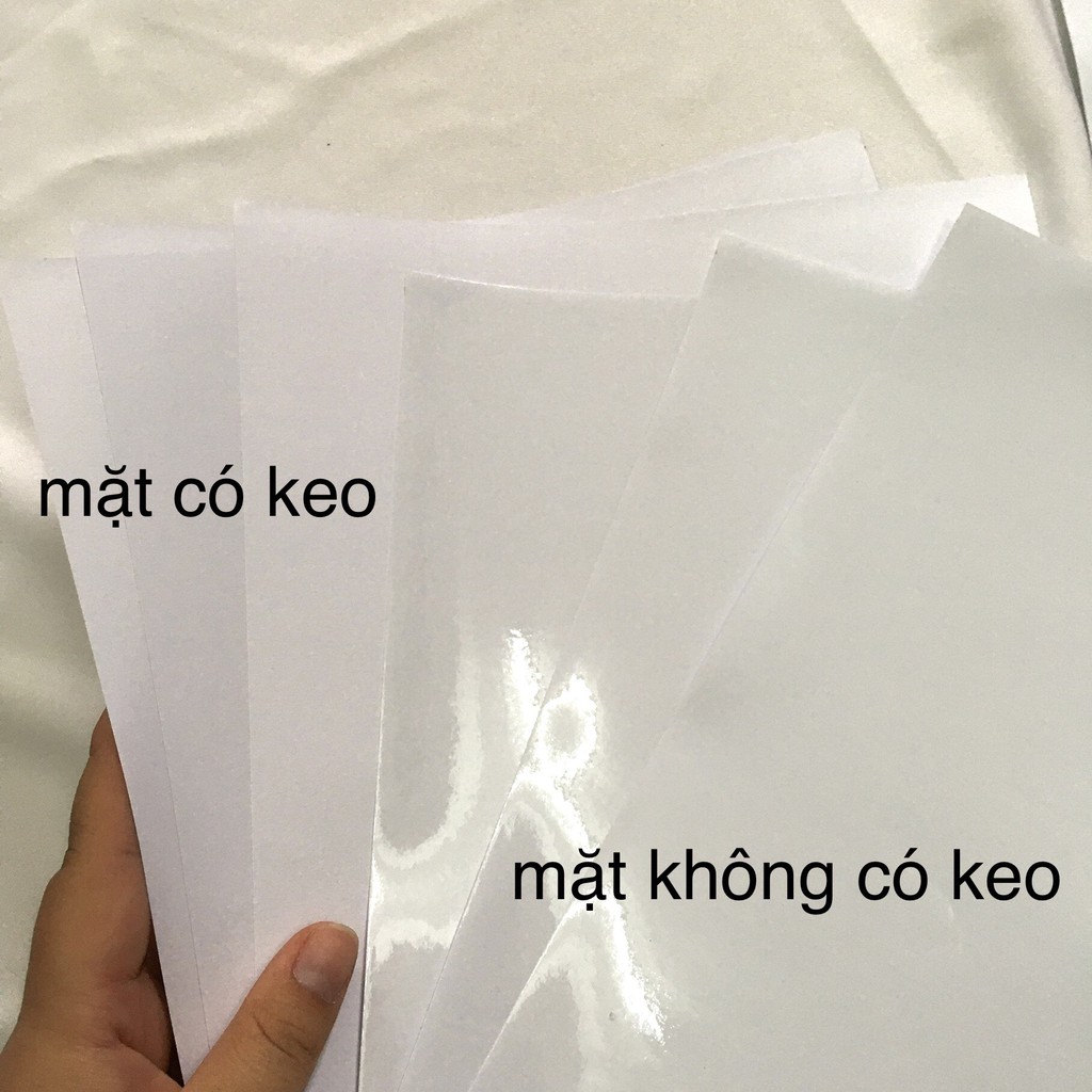 DECAL IN TEM TRONG SUỐT KHỔ A3 / A4