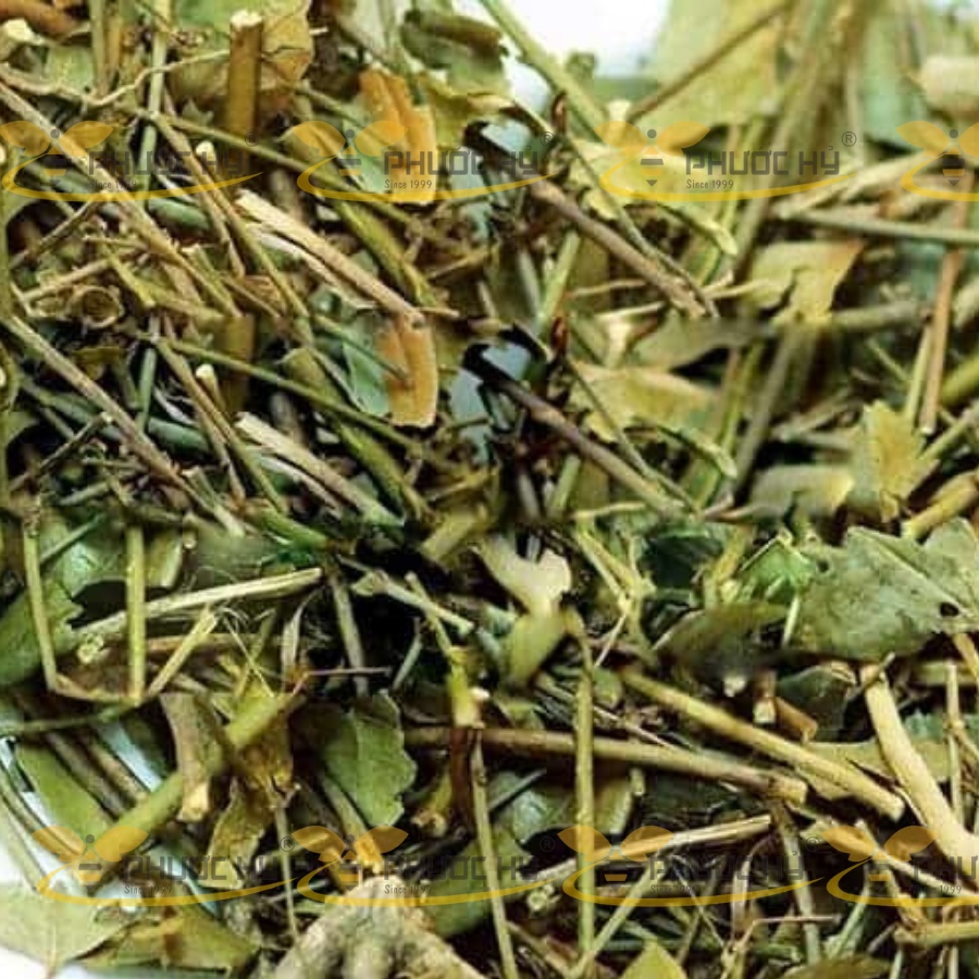 trà vằng lợi sữa giảm cân 500g