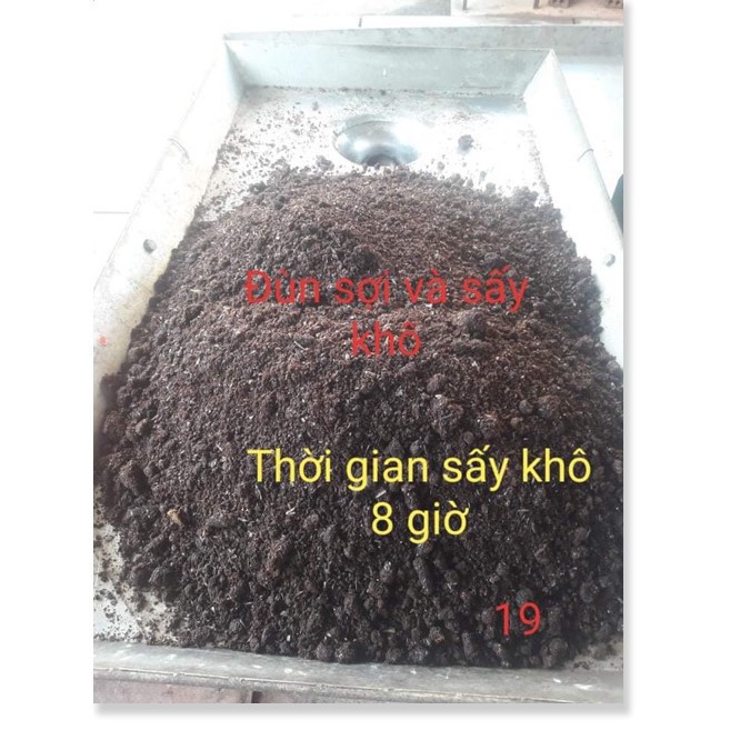 HẠT CÀO CÀO NON, THAY THẾ MỒI TƯƠI 100GRAM  -Uy tín - Chất Lượng