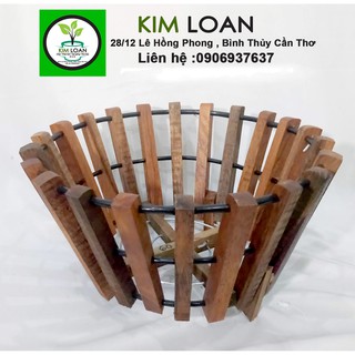 Combo 2 chậu gỗ trồng lan 32x17cm