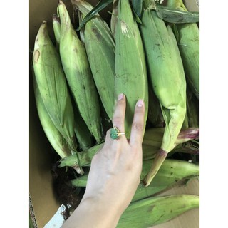 Bắp Nữ Hoàng Đỏ Sạch