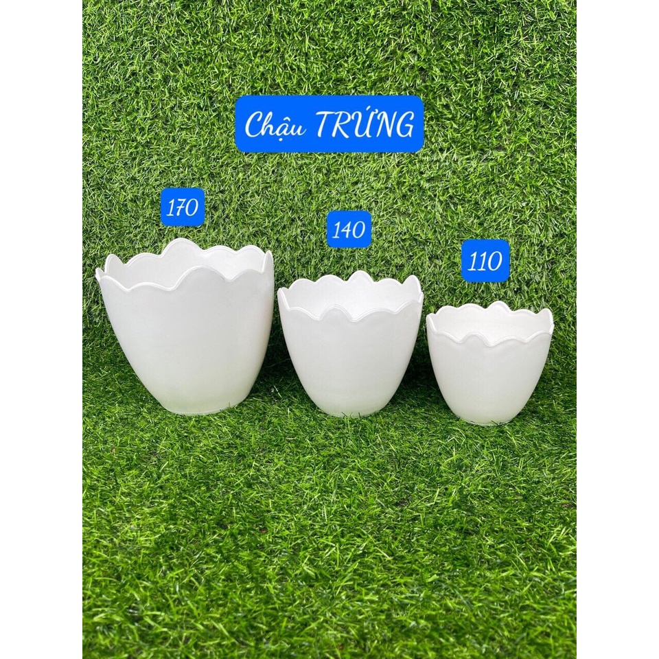 Chậu nhựa trồng cây hình trứng siêu xinh - đủ size hàng loai 1