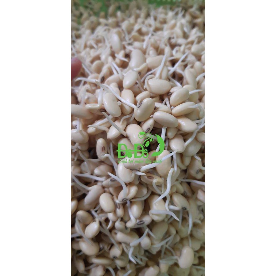 Combo 2 gói Mầm đậu nành Đô Đô 450g | BigBuy360 - bigbuy360.vn