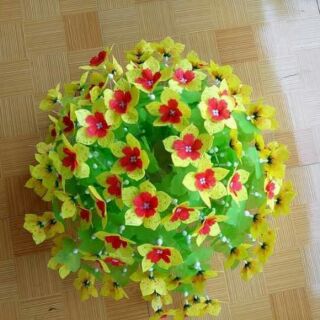 Hoa gấm cánh nhọn