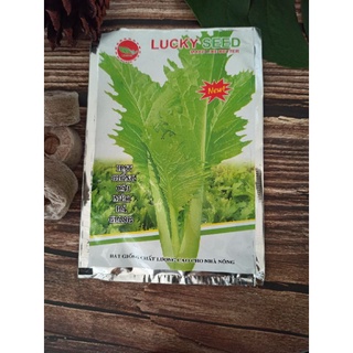 Cải mèo Hà Giang gói 20gr LUCKY SEEDS