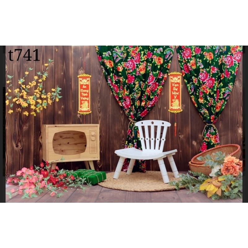 Phông nền chụp ảnh mã T741