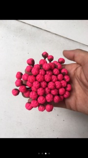 Nụ đào đất sét 1 bó 50 cái