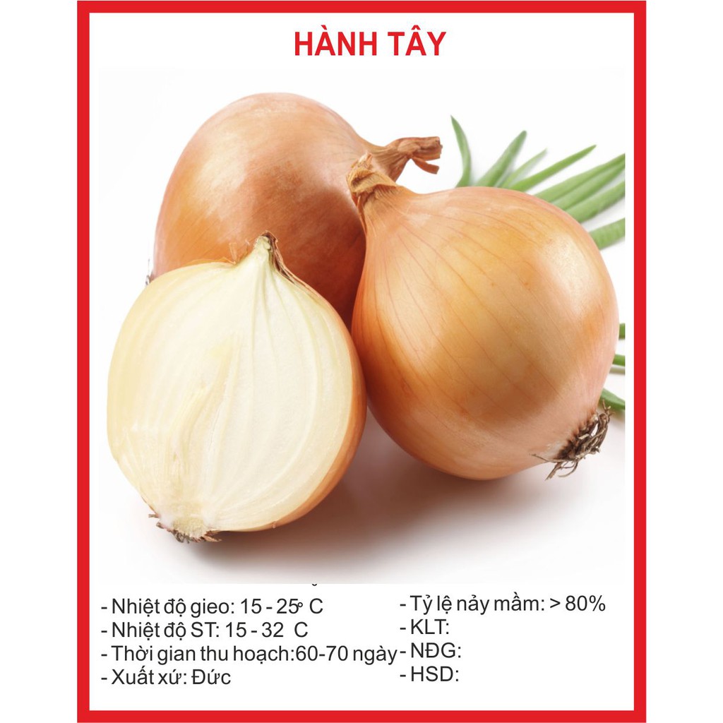 Hạt Giống Hành tây 2gr