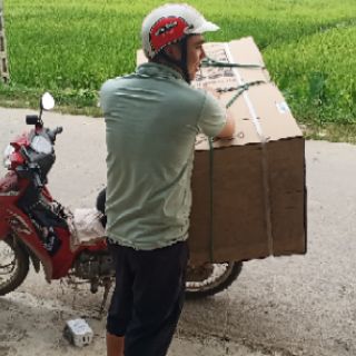 Quạt hơi nước Canaval CA-8800