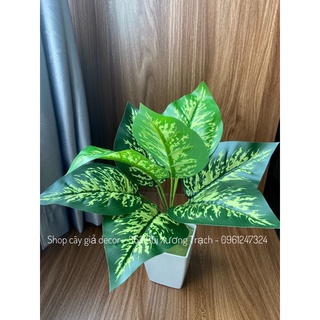 Cây giả - cây lá đốm 30cm/40cm