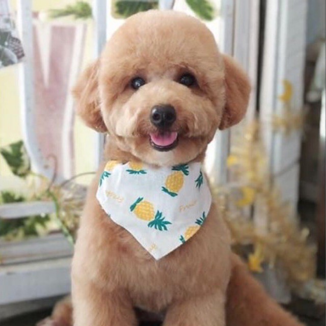 Yếm Tam Giác Cho Chó Mèo Thú Cưng