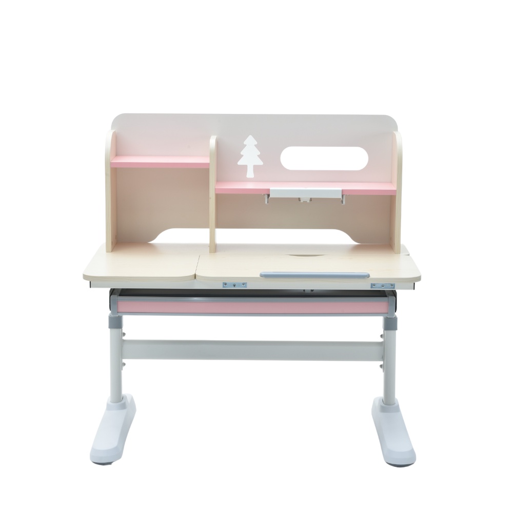 Bộ Bàn Ghế Chống Gù Chống Cận ZAC Ergonomic GJJY105T + Y003 Pink