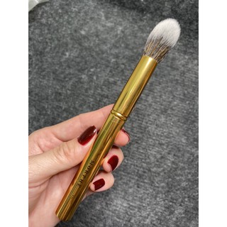 TỔNG HỢP CỌ LẺ MORPHE
