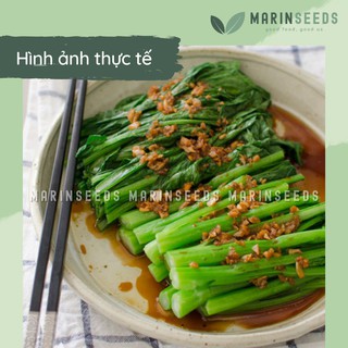 Hạt giống cải ngồng ngọt, thân mập (10gram, 20gram)