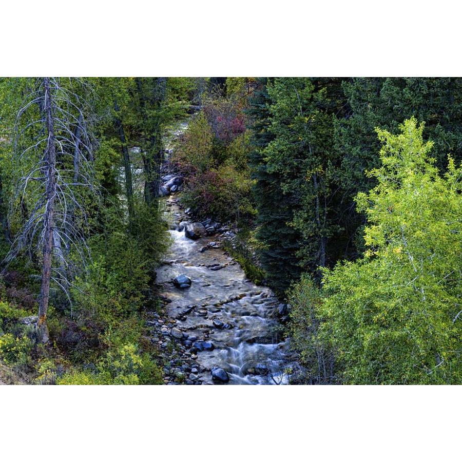 Tranh thác nước thiên nhiên tặng keo và dụng cụ dán 3D